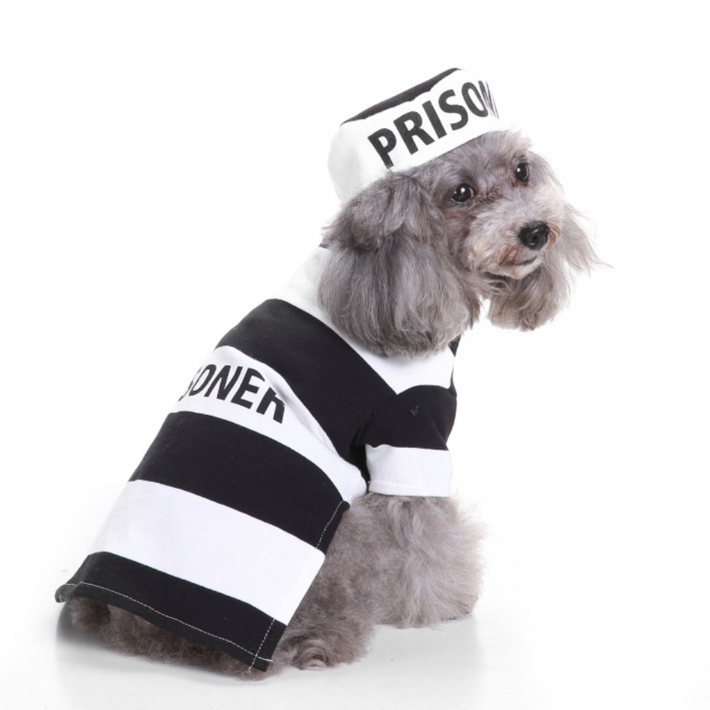 Halloween Pet Dress Up  Prisoner Dog Costume
